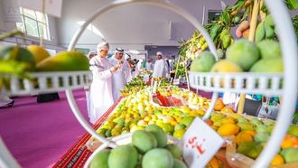 مهرجان المانجو 2024 بالشارقة