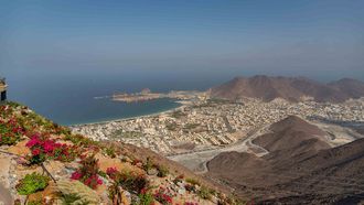 Khorfakkan's Mango Fest Highlights