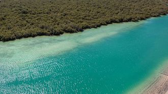 New Marine Data Exchange System