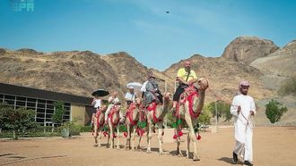 قافلة مكة: لمحة عن الحج القديم