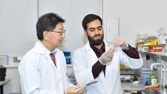 الإمارات العربية المتحدة، جامعة سنغافورة في مجال اللحوم النباتية