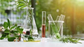 تظهر النباتات علامات الذكاء