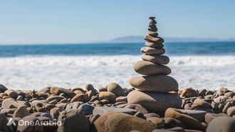 Qatar Embraces Nature For Wellness Day 2024