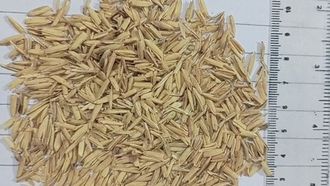 Rice Husk Ash For Greener Concrete