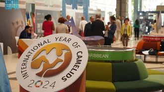 Saudi Camel Culture Shines Globally