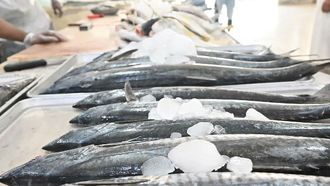 SAR 86M Boost For Saudi Fisheries