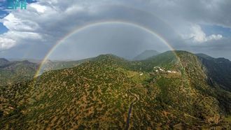 جمال الطائف في يوم ممطر