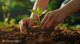 UAE Fights Desertification For Greener Tomorrow