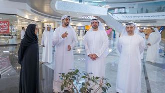 قطع البيروقراطية في دولة الإمارات العربية المتحدة