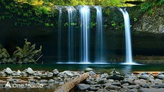 UAE's Secret Waterfalls & Wadis Guide