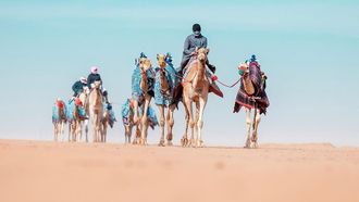 Alheda'a: UNESCO Honors Camel Tradition