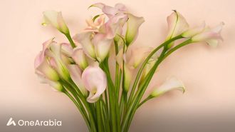 Unique Eid Al Adha Gifts At IGP