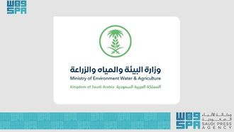 السعودية تقود يوم البيئة العالمي