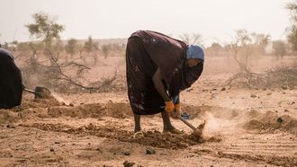WFP's New Plan For 7.3 Million In Africa