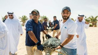 Aquarium's Oceans Day Conservation
