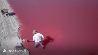 La Paline تتوسع في الشرق الأوسط
