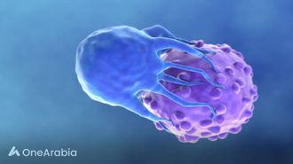 خيارات نمط الحياة تغذي وفيات السرطان في الولايات المتحدة