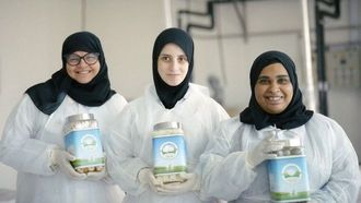 تمكين القرار من خلال الفن