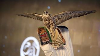 بيع تذاكر معرض أبو ظبي