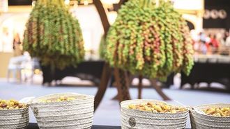 مهرجان عجمان للتمور والعسل