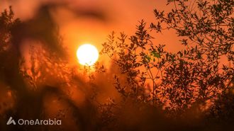 تنبيهات اليابان بشأن خطر ضربة الشمس