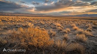 Arab Region Threatened By Climate Change