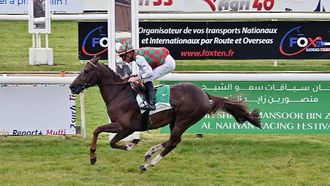 مهرجان سباق الخيل العربي في فرنسا
