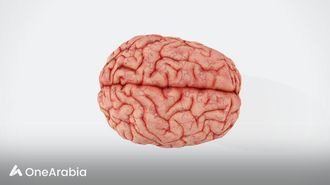 درجات الائتمان المرتبطة بمرض الزهايمر