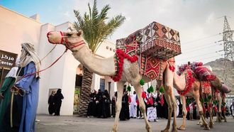 صيف حراء مضاء بواسطة قافلة الجمل