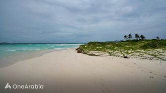 أفضل الوجهات في فصل الربيع ٢٠٢٤