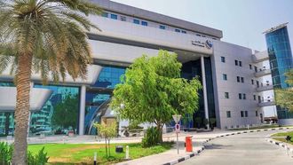 نظام الإفصاح الجديد في جمارك دبي