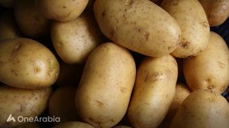 كبار السن: تجنب اللحوم والبطاطس