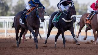 سباق النخبة للخيول بميدان الملك خالد