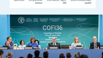 السعودية تقود تنمية مصايد الأسماك