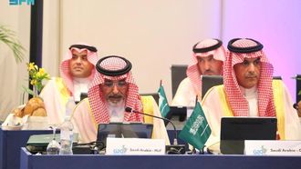 Saudi Minister's G20 Economic Insights