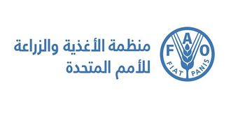 هدف الجوع لعام 2030 خارج المسار