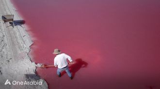 Gourmet Sea Salt Captivates Middle East