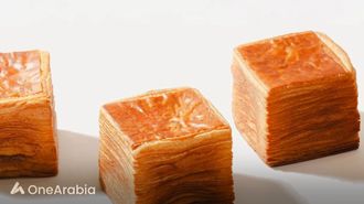 Korean Tissue Bread Now In Dubai