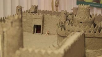 القلاع الإماراتية في مسابقة مهرجان ليوا