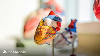 انخفاض خطر الإصابة بالأمراض مع كميات أقل من اللحوم المصنعة