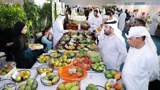 مهرجان المانجو يجذب الحشود