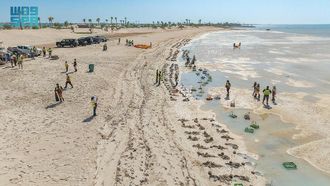 Mangrove Planting Unites Community