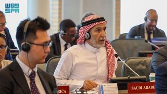 بدء جلسة مجلس منظمة حظر الأسلحة الكيميائية