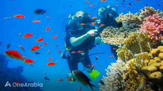 PADI Women's Dive Day At Nautilus