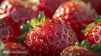 Refreshing Summer Strawberry Tanghulu