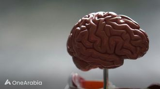 خيارات نمط الحياة والإدراك في منتصف العمر