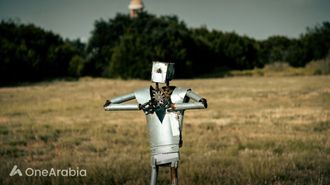 Robot Work Stress Sparks Concern