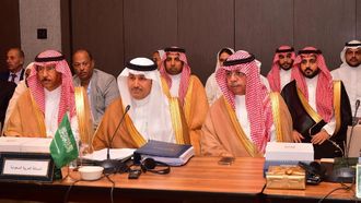 Saudi Leads ACAO Council