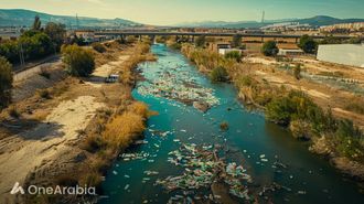 Sweeteners' Effect On Ecosystems