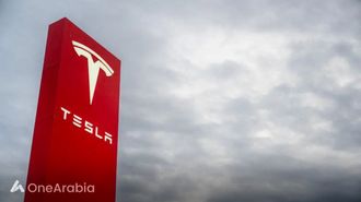حصة تسلا في السوق تنخفض إلى أقل من 50%
